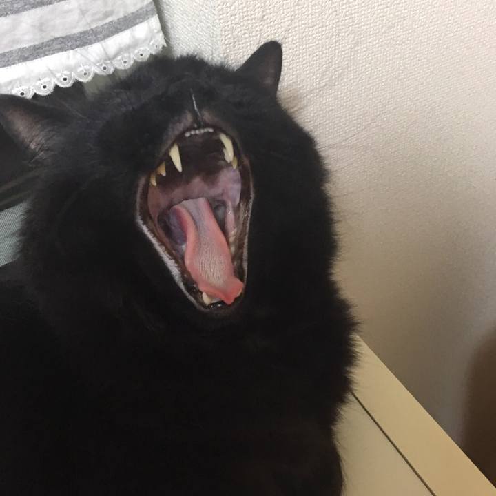 A1311f56 50f9 426f afb4 995f867d7b01