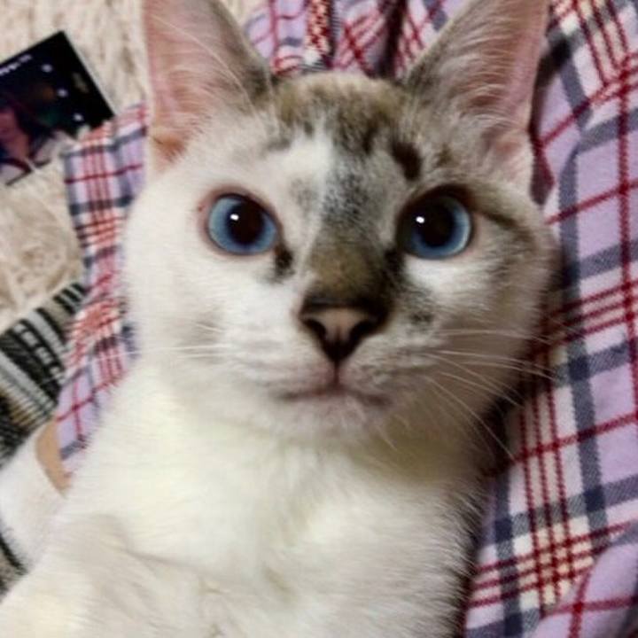 A1319d19 3e00 44b5 82f9 6f20b2af4cca