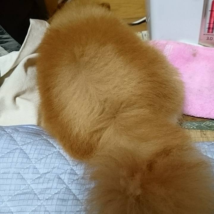 A13268d7 e1cc 4d78 a573 64bc103d7b86