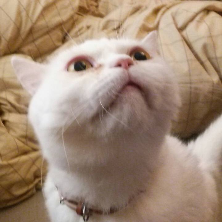 A1327639 3e83 4ec0 82be 1e0d6e75d060