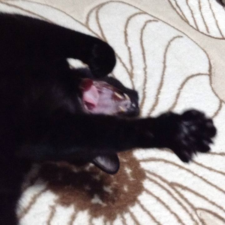 A132a706 384a 4608 8080 acd540640cbf