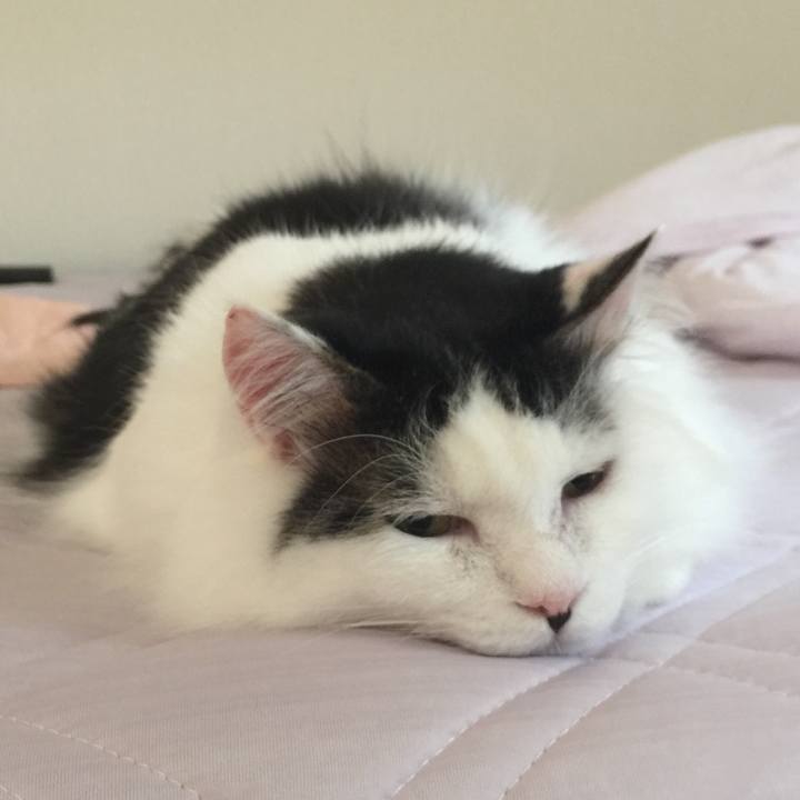 A1332e48 f757 4ca6 a5f7 0315d7bed558