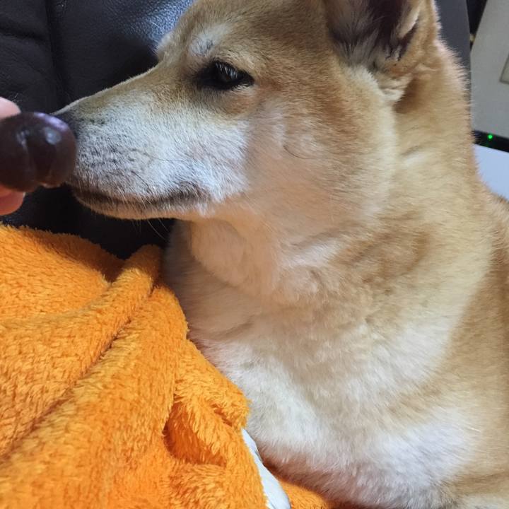 A133783a 62ec 47f6 82f1 fdb535e69838