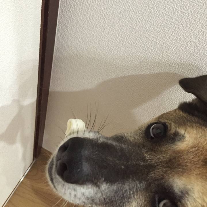 A134e2b6 a2e4 477c be0e 3329f031f38a