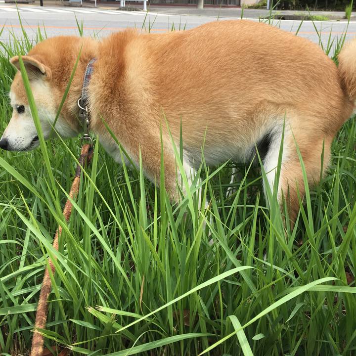 A13564bb c864 479a ab37 03710f430aaa