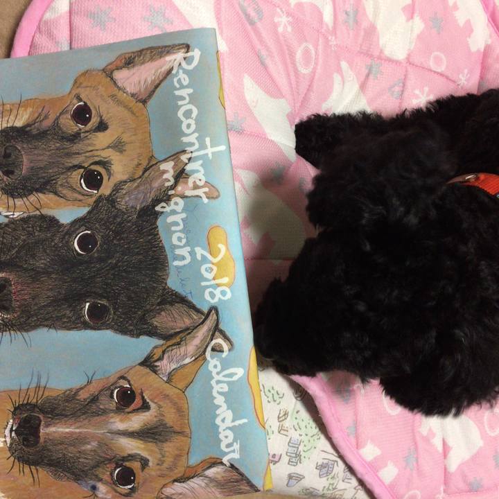 A1357460 8a9d 4334 b9dc cda030c4f247