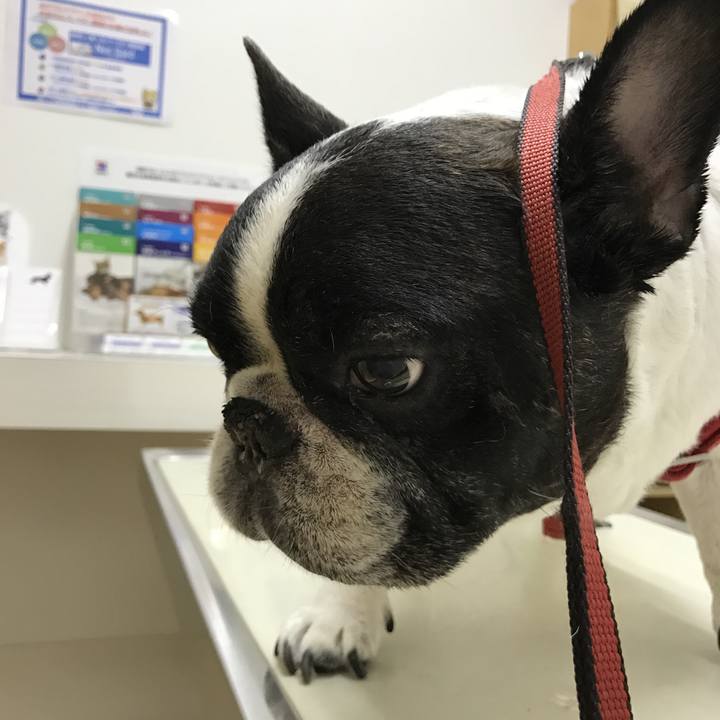 A135e3de f3e8 4308 9e6b 53a0ebf39127