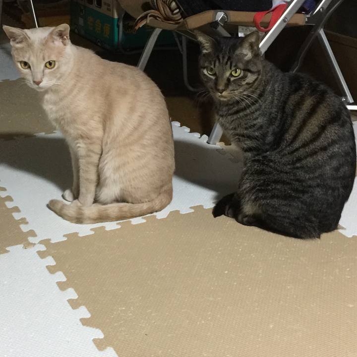 A1362455 865e 45fb 9781 710b9222f293