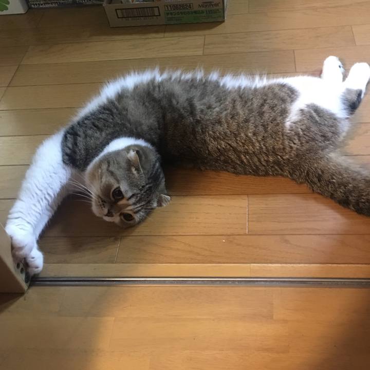 A13671ad 90ab 4354 a87b d25574fbc05c