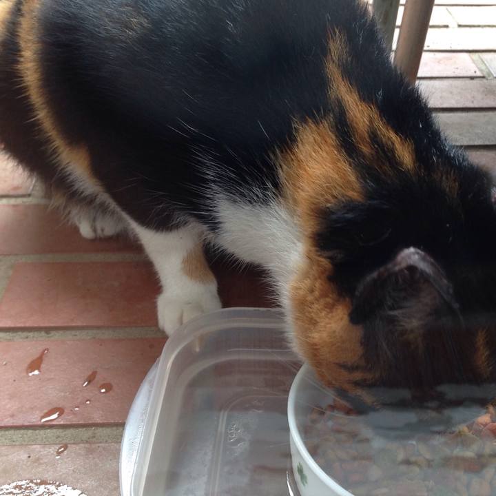 A136bf96 fe59 4571 8987 567b2749d9a3