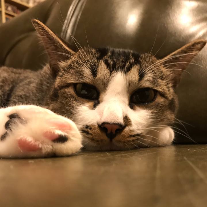 A136c618 5120 4775 ac98 be4909f0eae0