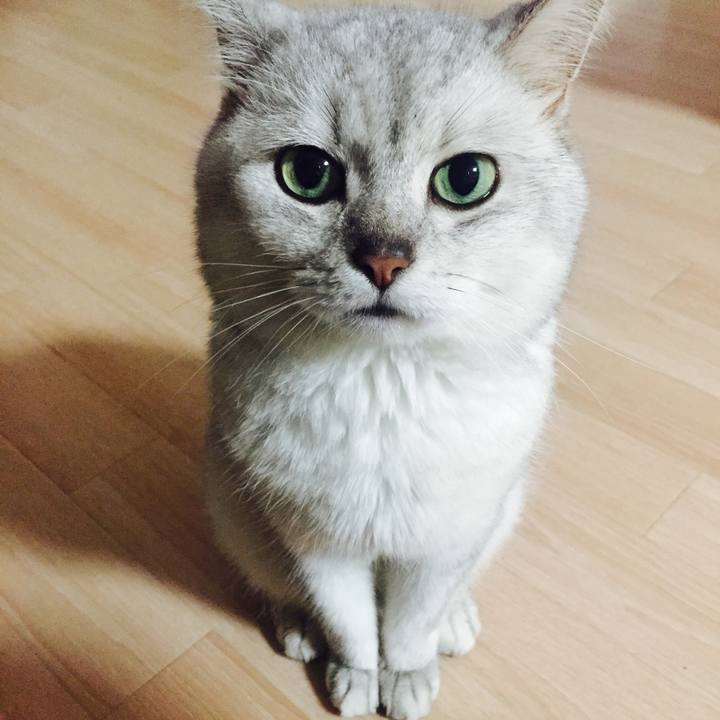 A1375720 bacf 4e3a 925f f457a467d4af