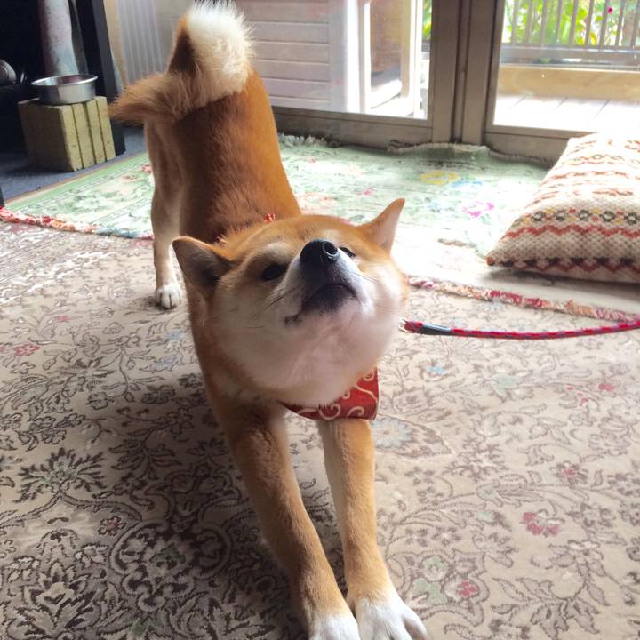 A1377b65 0692 4563 9699 1940ce08fa01