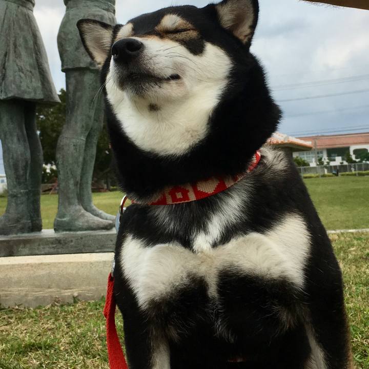 A137e636 1654 47d1 afc0 55d7f01e56c4