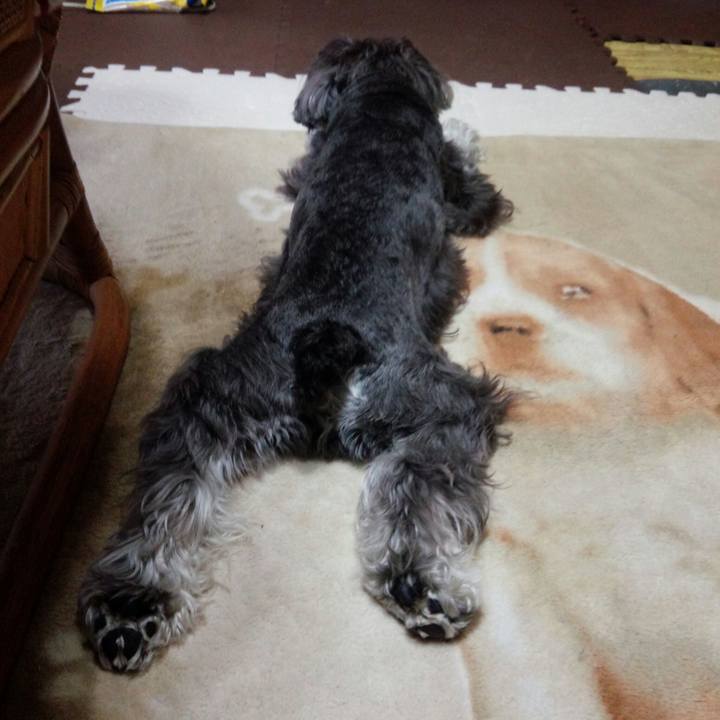 A137fced 53d2 4b2a 9fc7 210fa784bbad