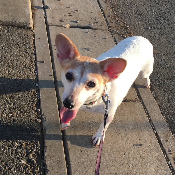 A1380f53 7e49 4f1a b9a9 6a0672b75747