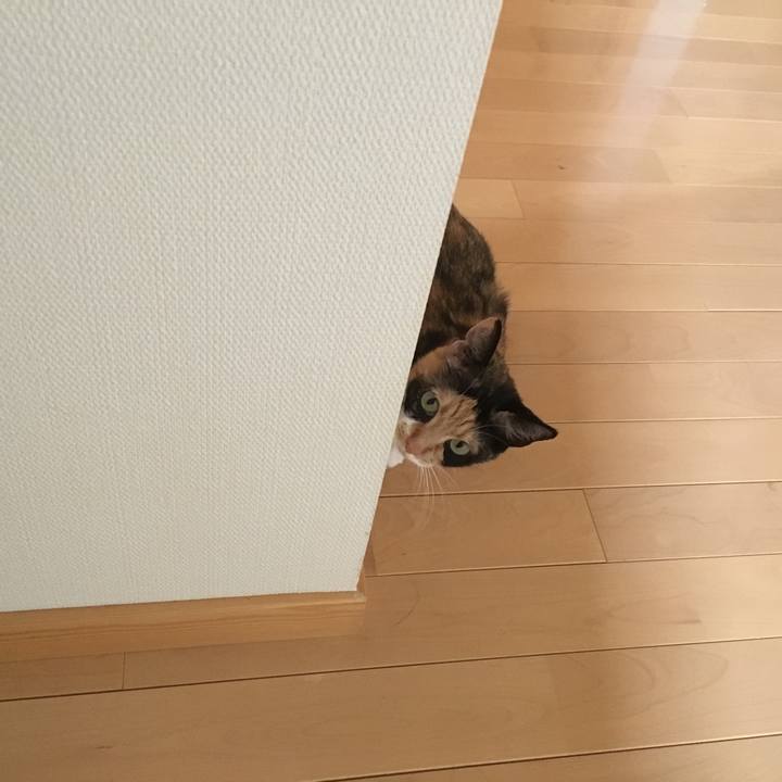 A138ae8b 6d5c 485f b1df d7441f2c4e2b