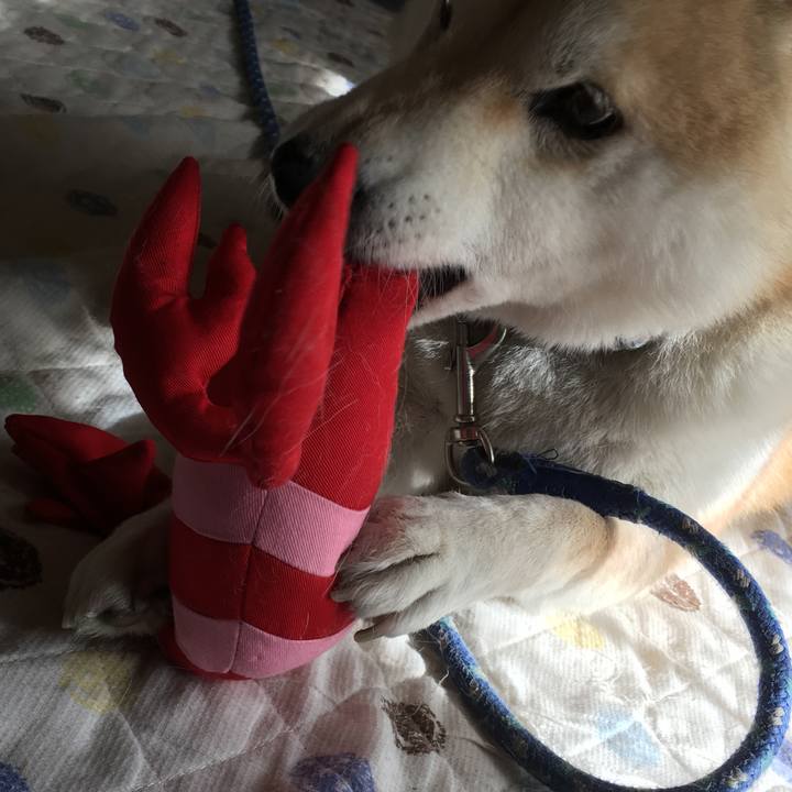 A1395476 fac3 431c a8f0 ca66d8a98c90