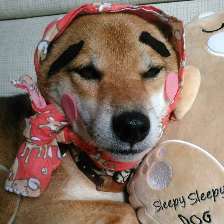 A13a5c21 e291 4926 8817 1f500cbaee8b