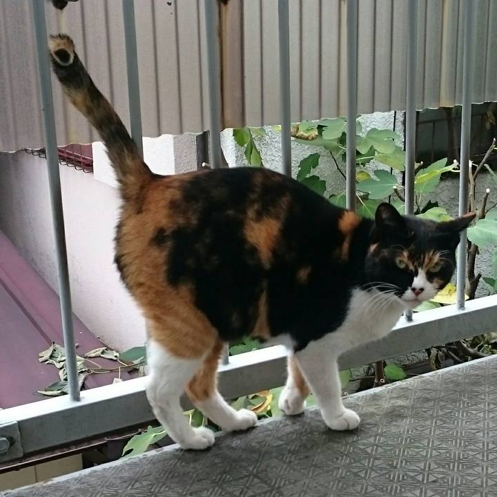 A13a8464 55d4 49b1 8fe9 5ff0e323afec