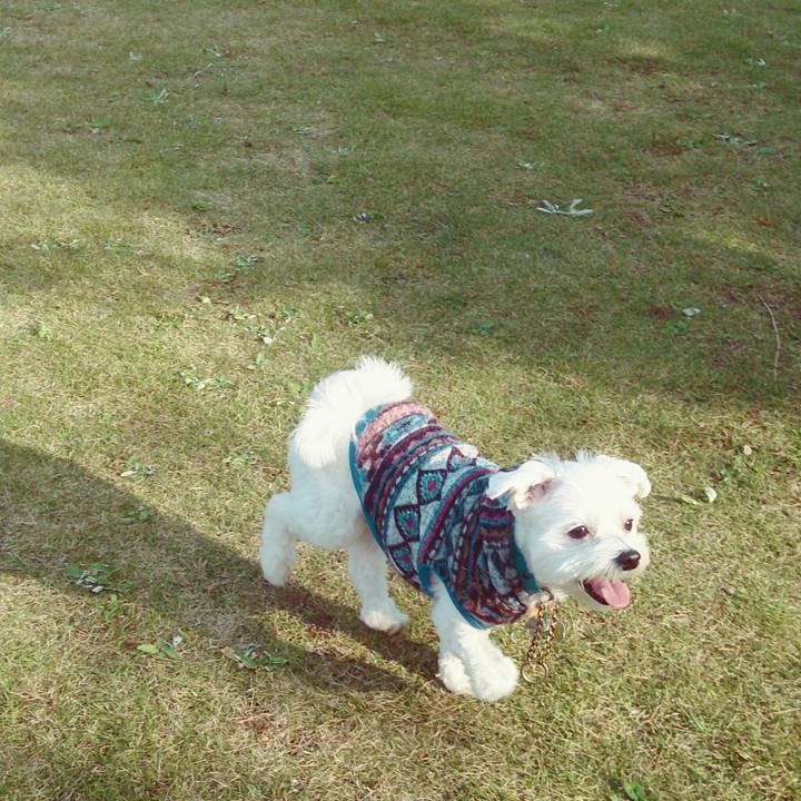 A13b5b8c 82ad 4b4f a441 8b4a16f36e56