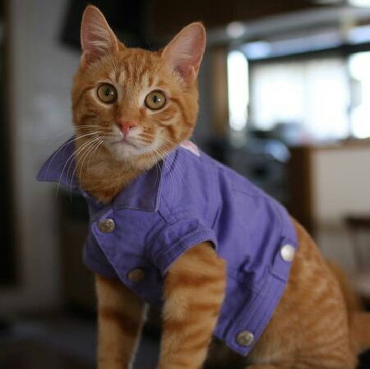 A13b6138 4cd8 4fc1 81c1 e3d31d8f9f45