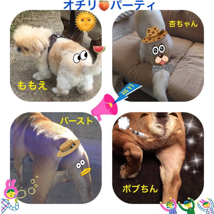 A13bbe43 87a1 4247 a794 16c16daaeb1e