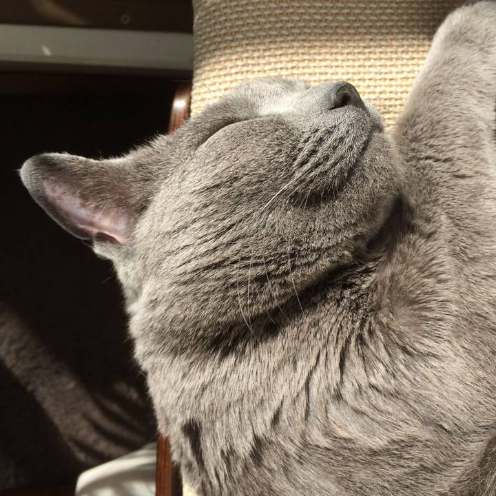 A13ce63d 8b98 497f aff4 67c3f49a49fb