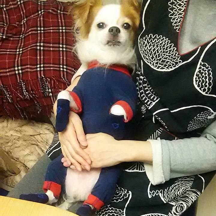 A13cf85e 53e3 459a b29a 0d5c95615570