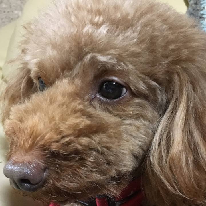 A13d4d91 f711 4b17 b628 1b769307e133