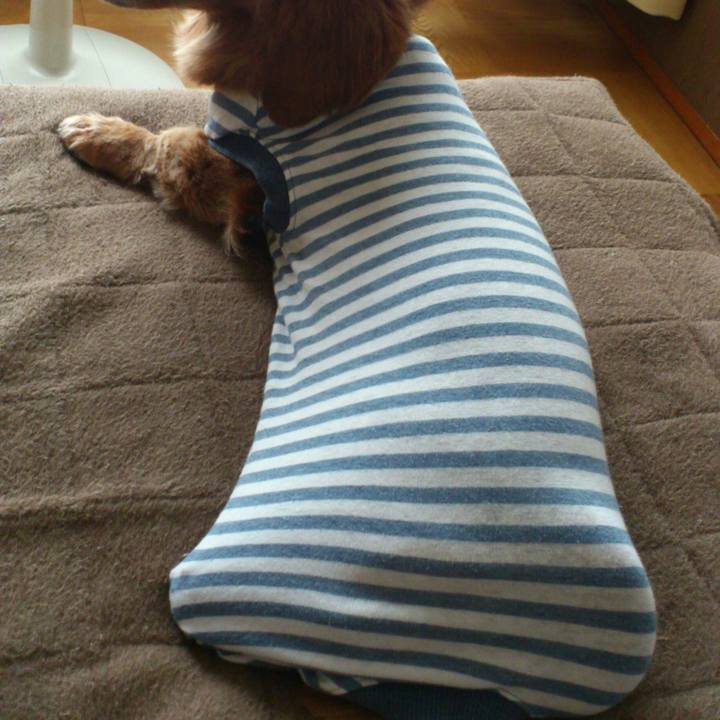 A13d6cd7 9cf2 435a 804c 3d3b2ee4f2d9