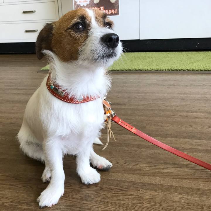 A13d7a6c 01cd 46b1 b978 c23aec5531de