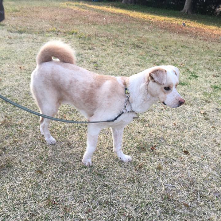 A13df682 8182 4472 8fab 334738dd0d0f