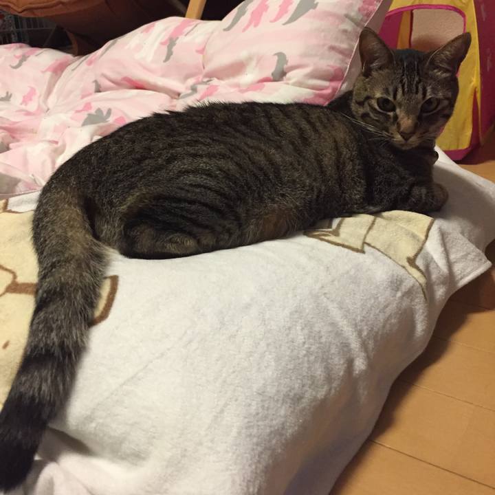 A13e111e e851 4ccf a1ab a6464d7a5d55