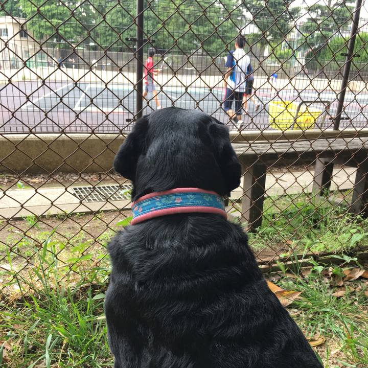 A13f3ef9 dd7f 4744 9b53 b4f200df985c