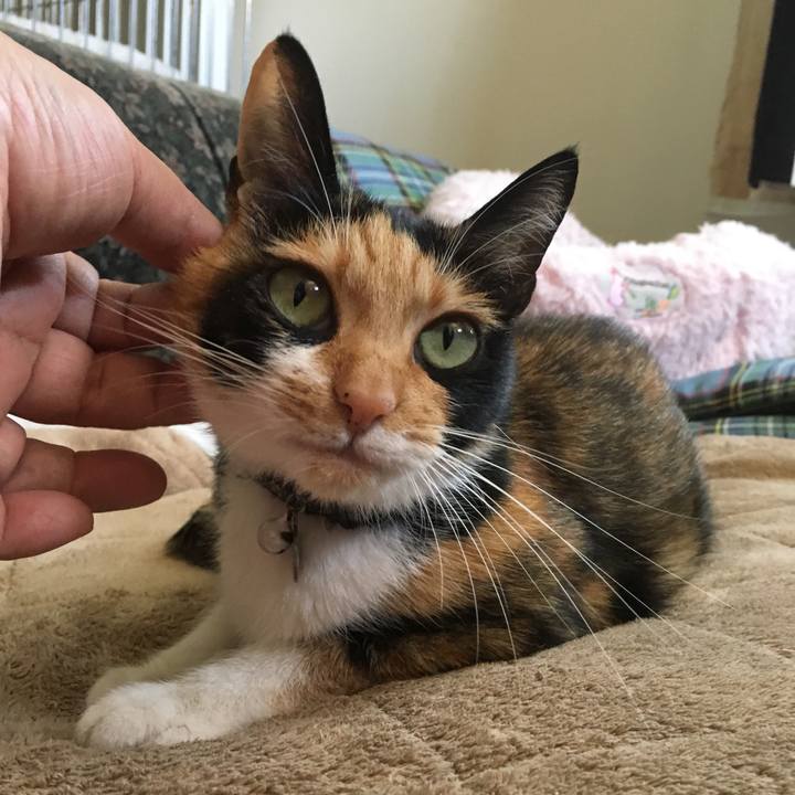 A13f991b 5352 4210 aef6 1d56c320ff90