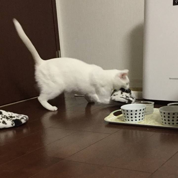 A13f9956 1463 47c6 85bb 30ebde6050a9