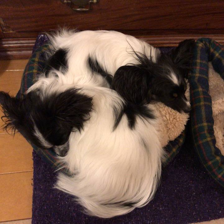 A1401146 60a5 4863 af47 3dbd4ef2a8f3