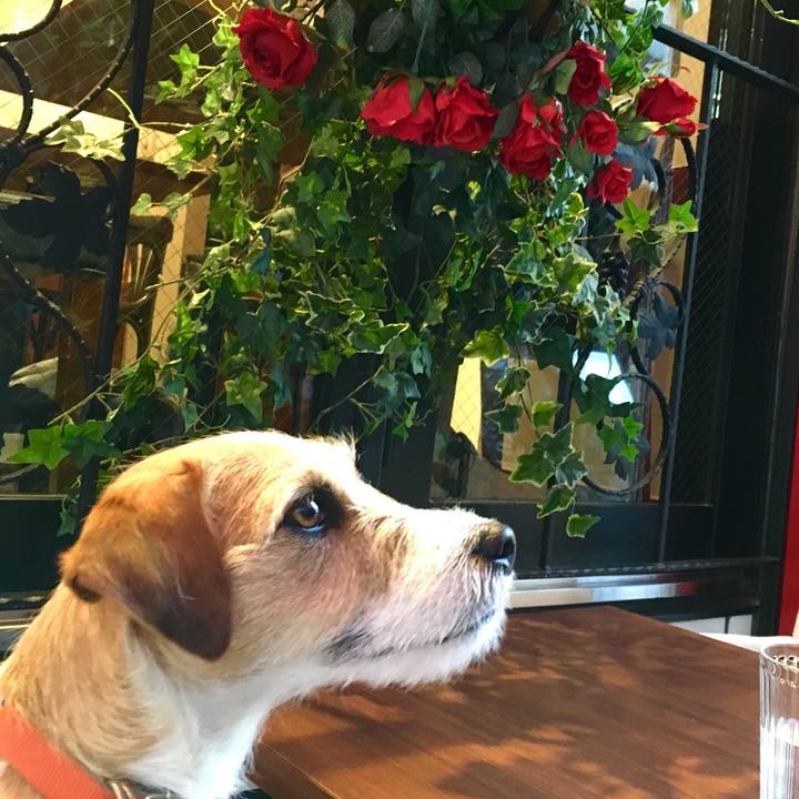 A1404dde 3e8a 48d9 b09c 9931add60e62