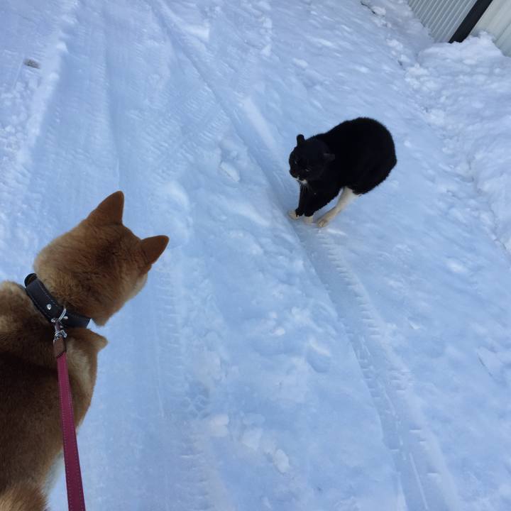 A1417b2f 3d6c 419a b12f c989308a3e51