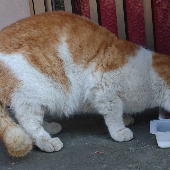 A1418b7b b1a4 403b 8884 65612a8c6cf3