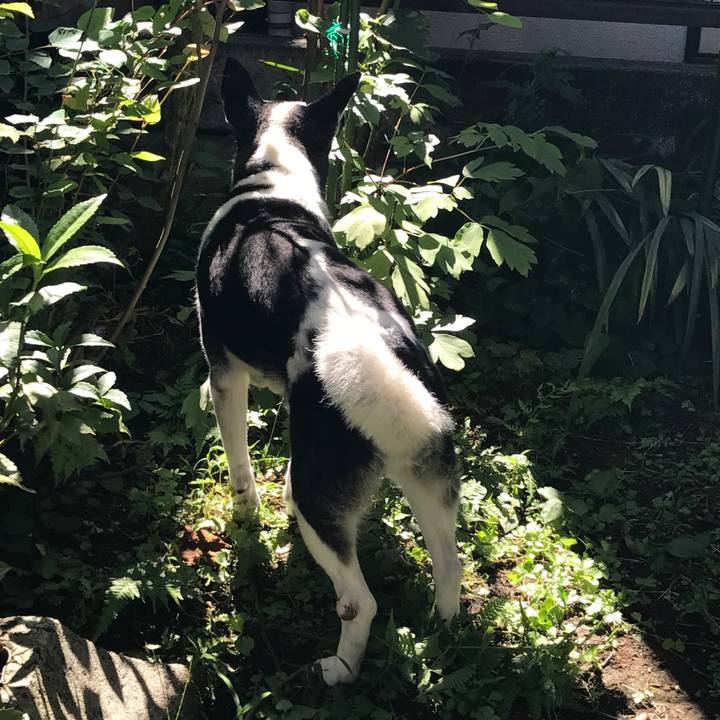 A1420c85 7391 4170 82be 2f0204b9bd6e