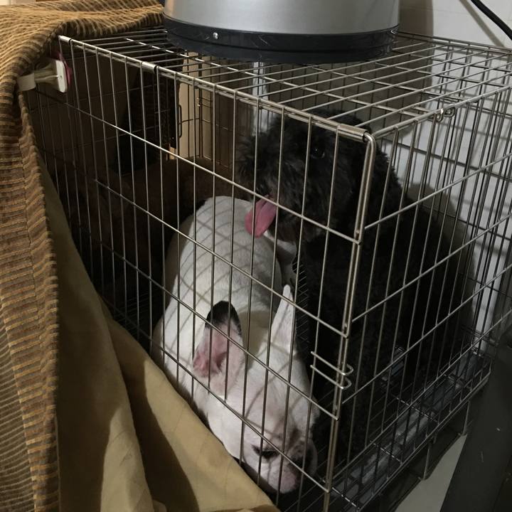 A1421b0f 1e9a 45e6 aed4 99eaa16e5736