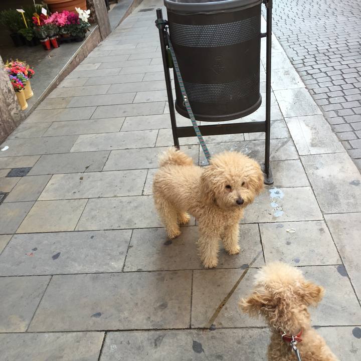 A1426a82 a148 42f2 a974 77c9dc158c68