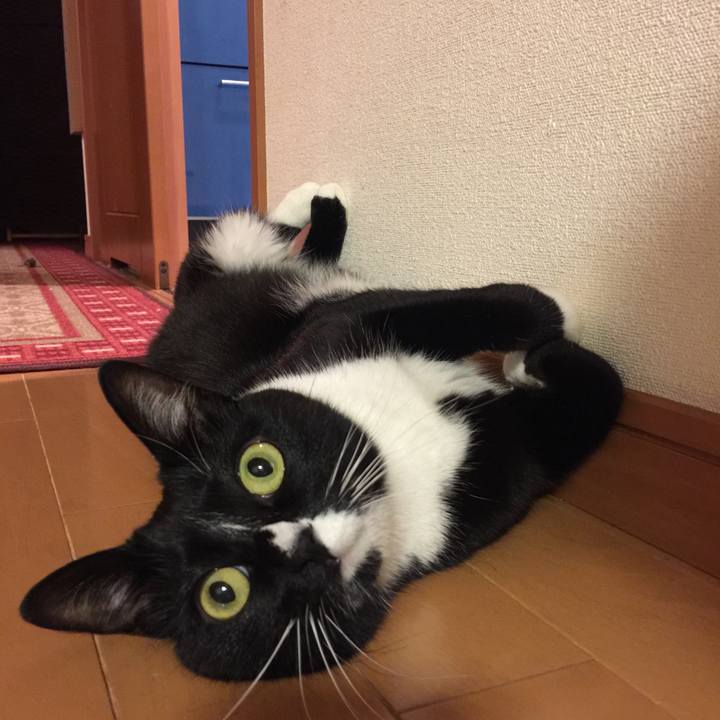 A1431230 b01c 4c21 90e0 b9147c3a8f54