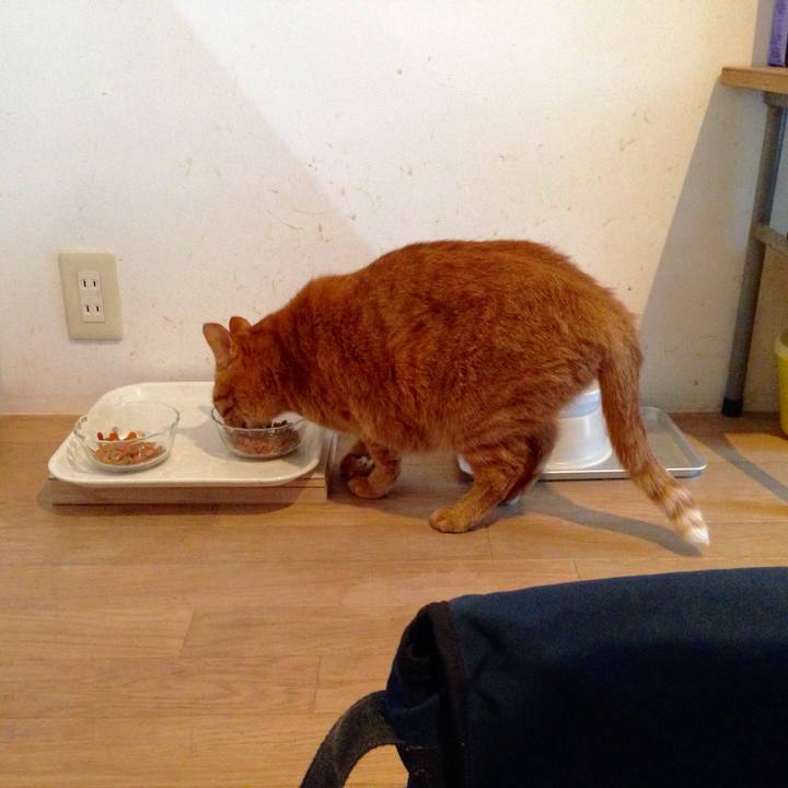 A1435689 edc5 40de a8aa 2f8f26078103