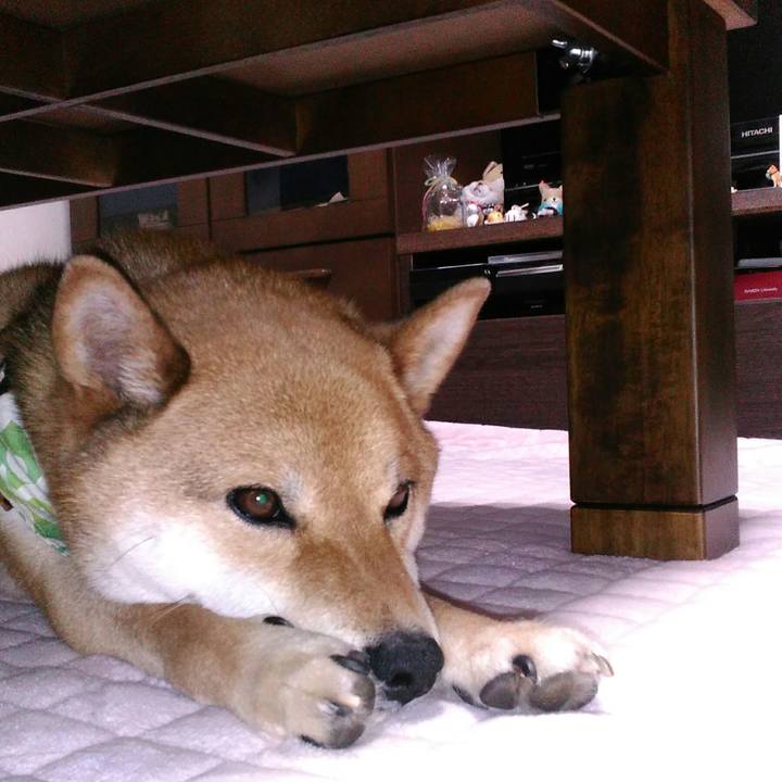 A1438a69 a828 4ffa bd8d d41747a31c80