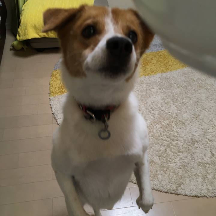 A143f63c 809f 4841 91b9 18fad37d34e5