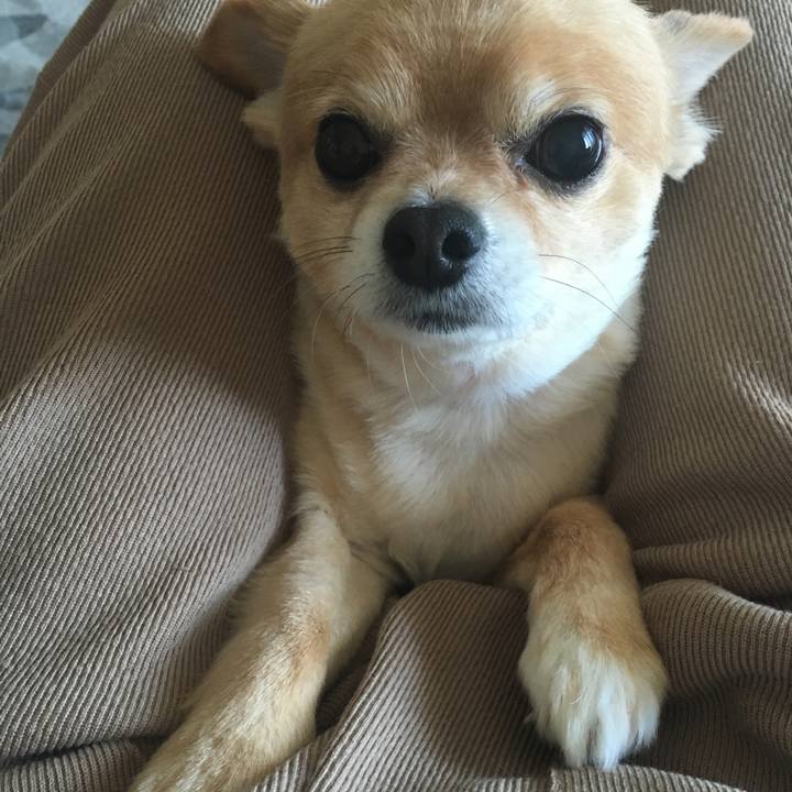 A1446580 db39 4c21 8c87 e8460fd723e1