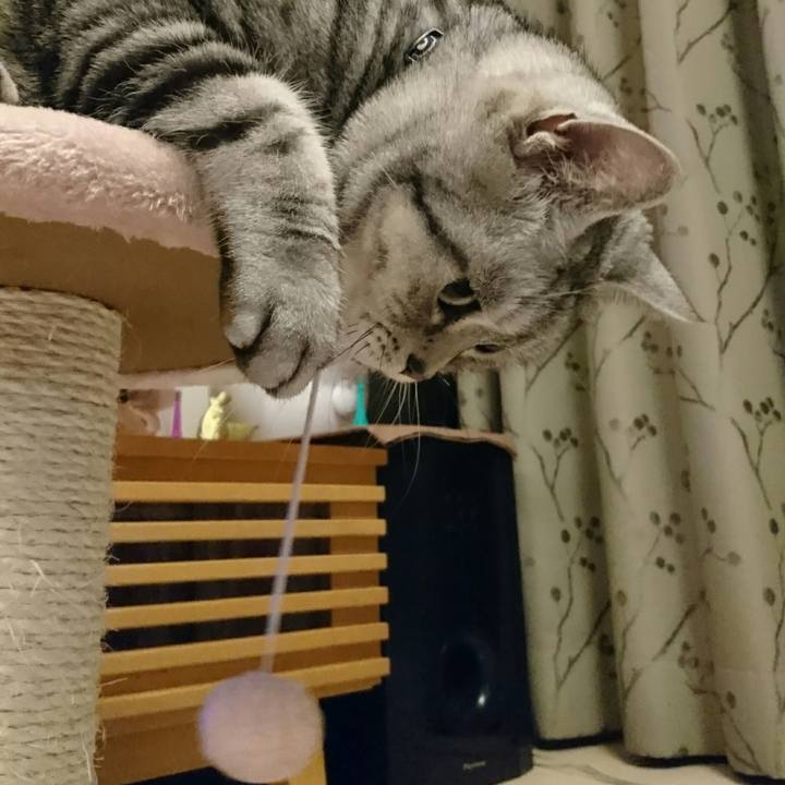 A1452998 09ee 4ac6 b7d1 80185ec892b8